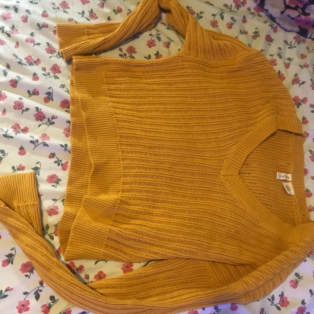 New without tags Cropped V neck
